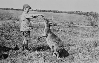 Paddy Dickson Feeding Kanga Joe by William Boyd